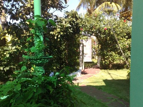 'Entrance at the back of the house' Casas particulares are an alternative to hotels in Cuba.